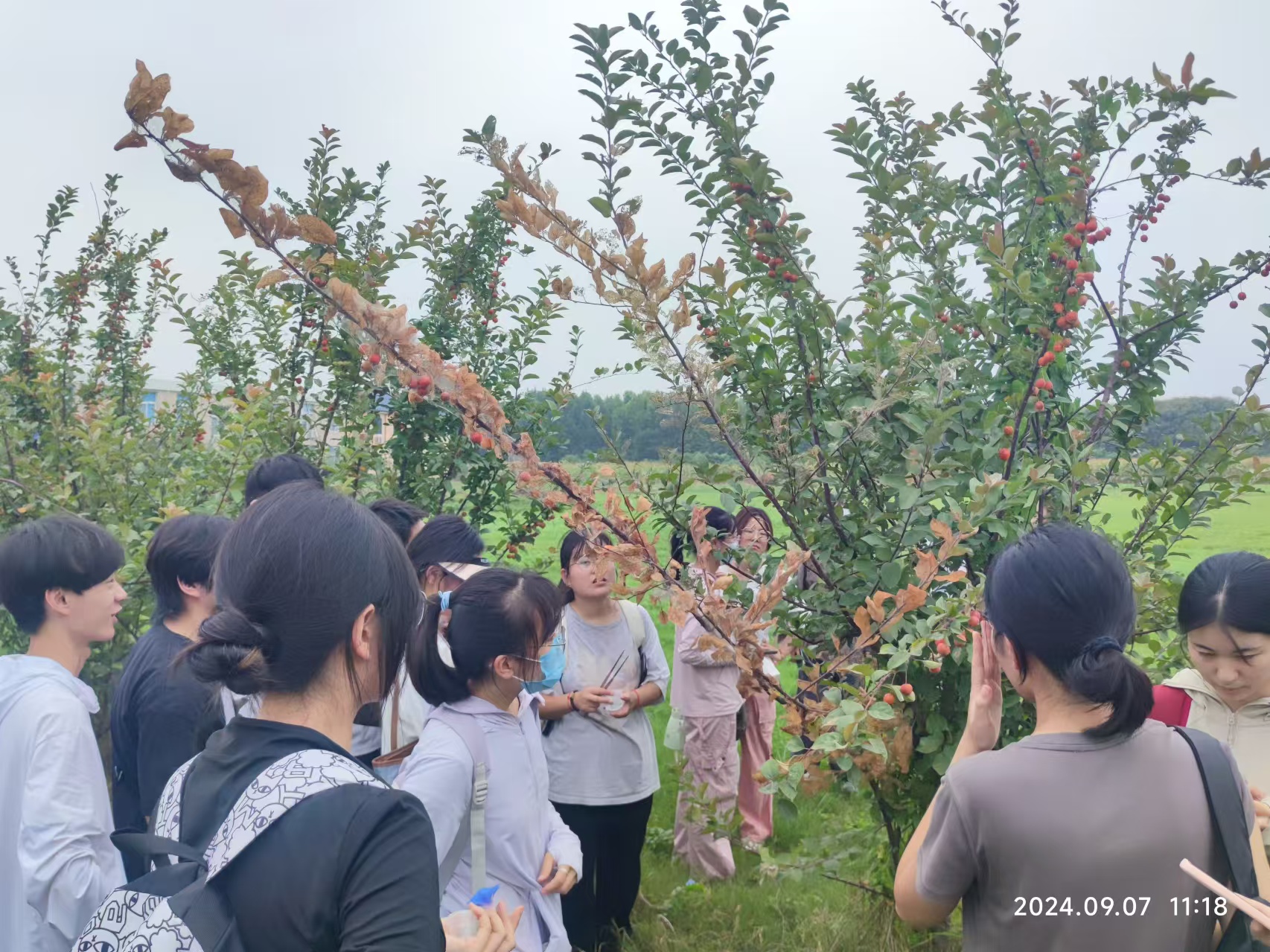 ���ߵ����˿��ֽ�