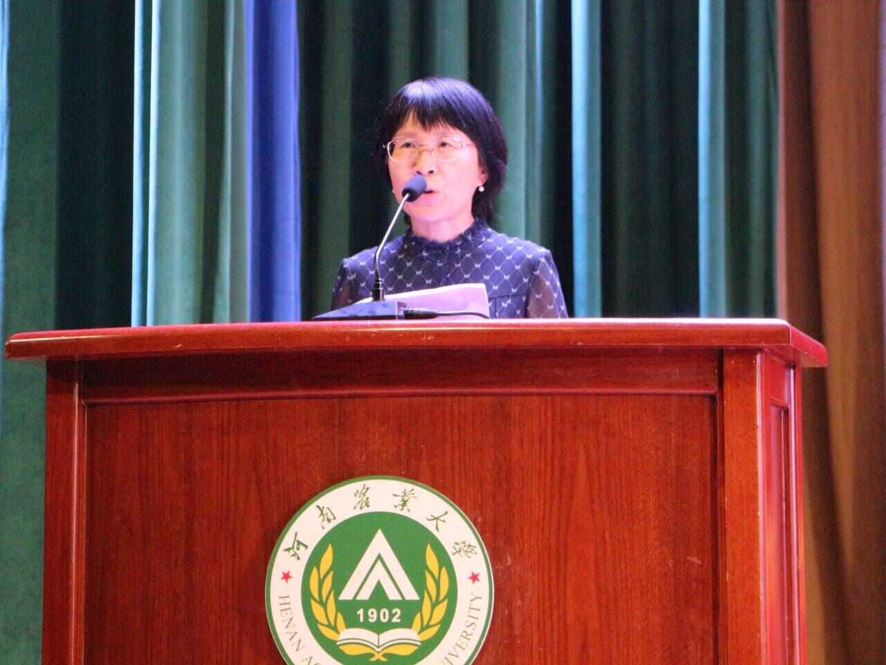 ���ߵ����˿��ֽ�