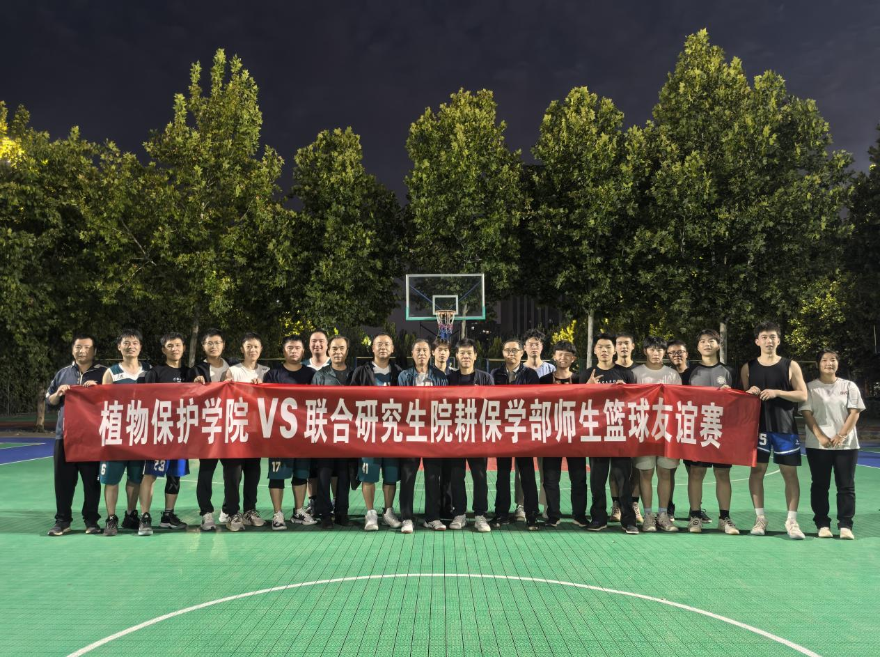 ���ߵ����˿��ֽ�