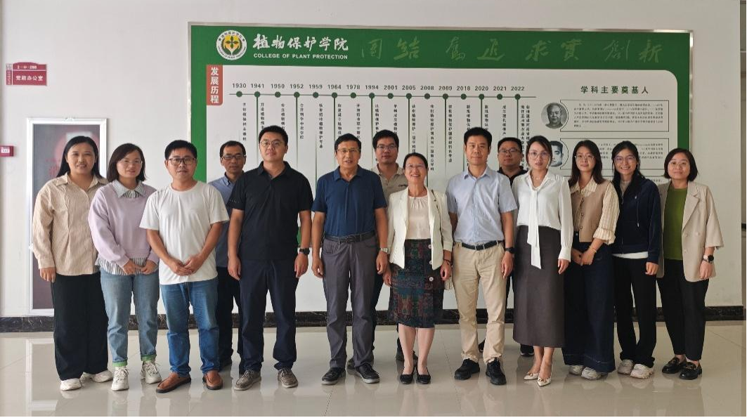 在线德州扑克现金