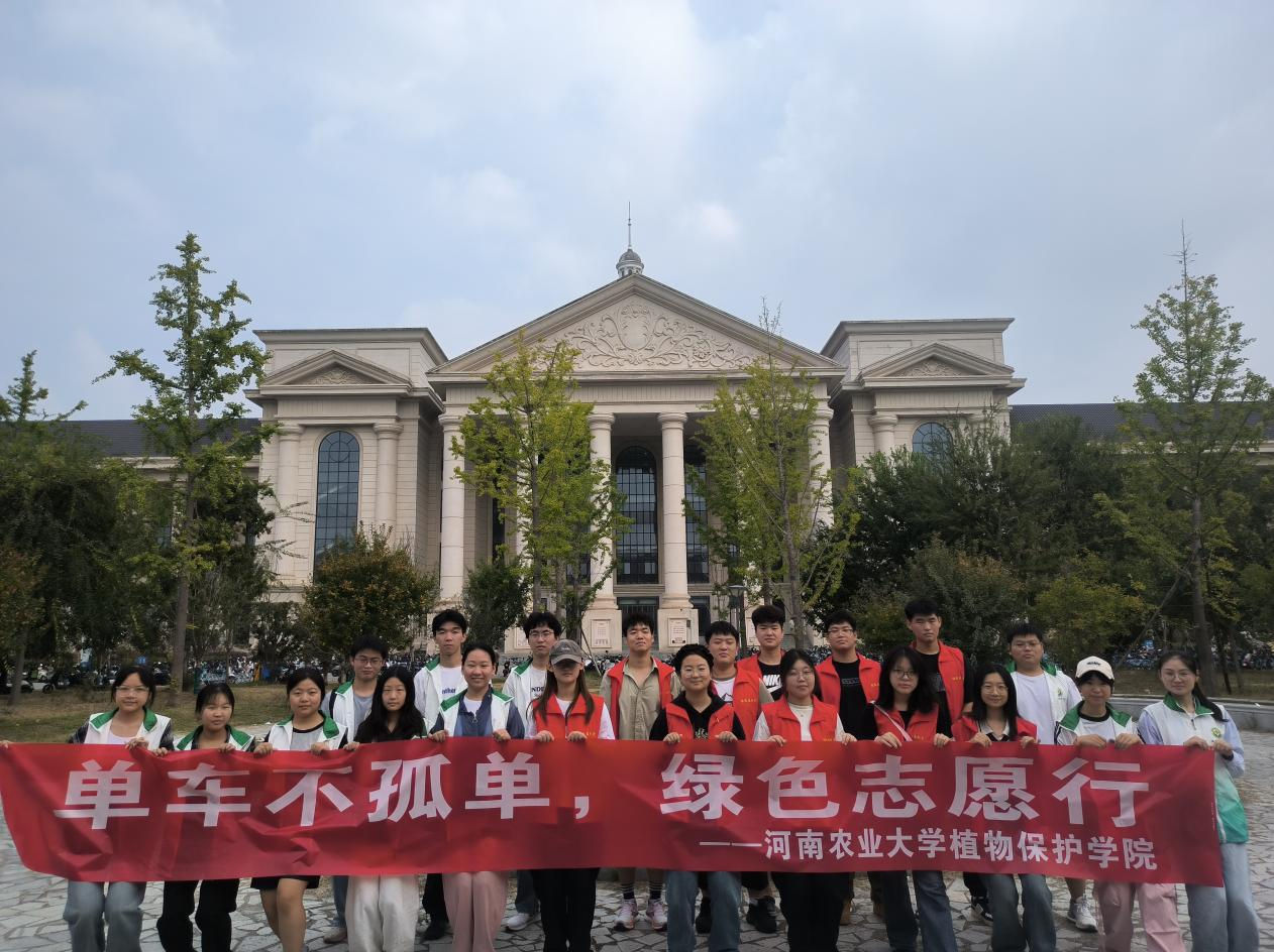 ���ߵ����˿��ֽ�