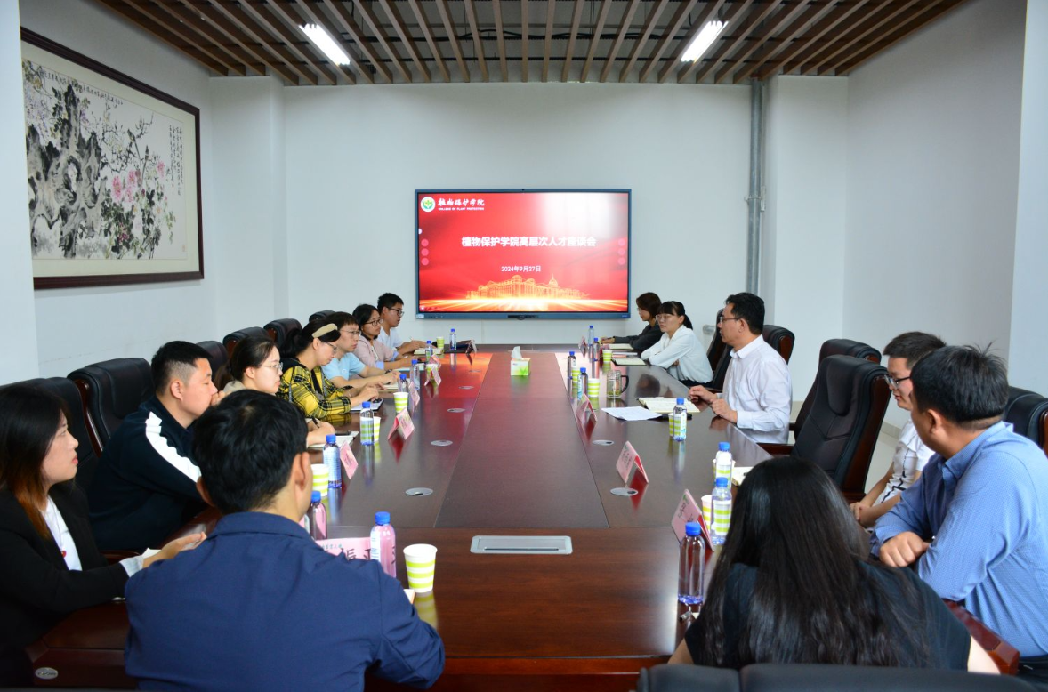 ���ߵ����˿��ֽ�