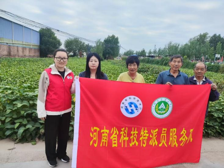 ���ߵ����˿��ֽ�