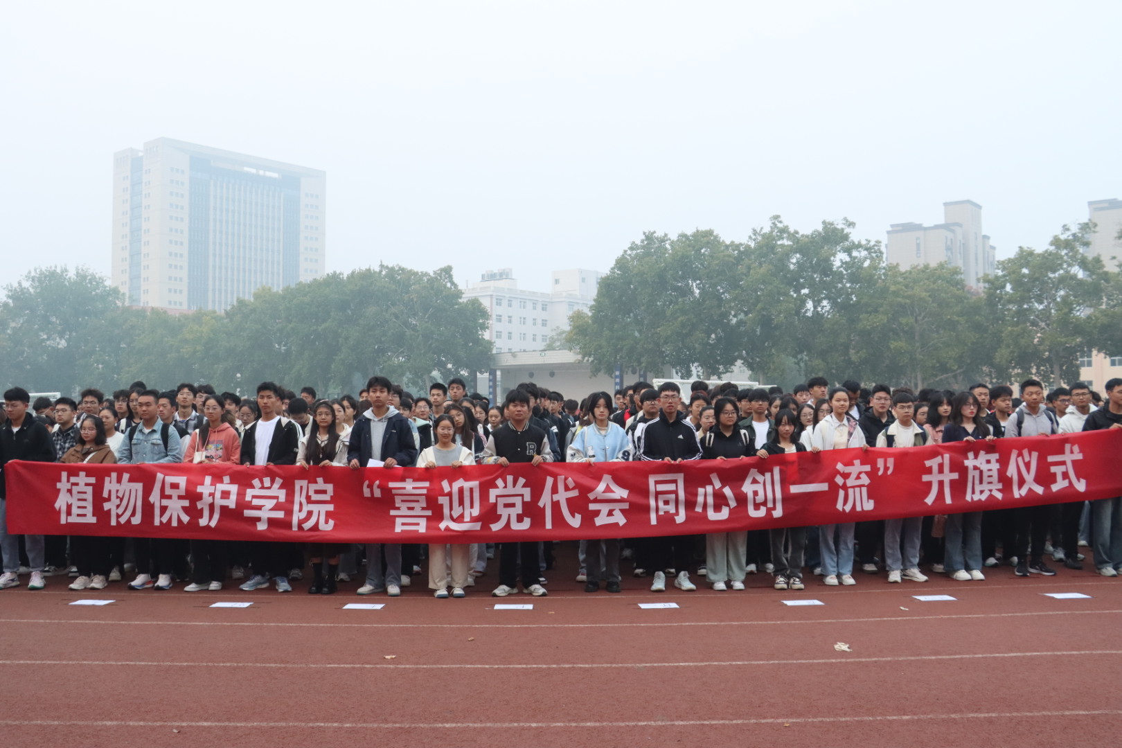 ���ߵ����˿��ֽ�