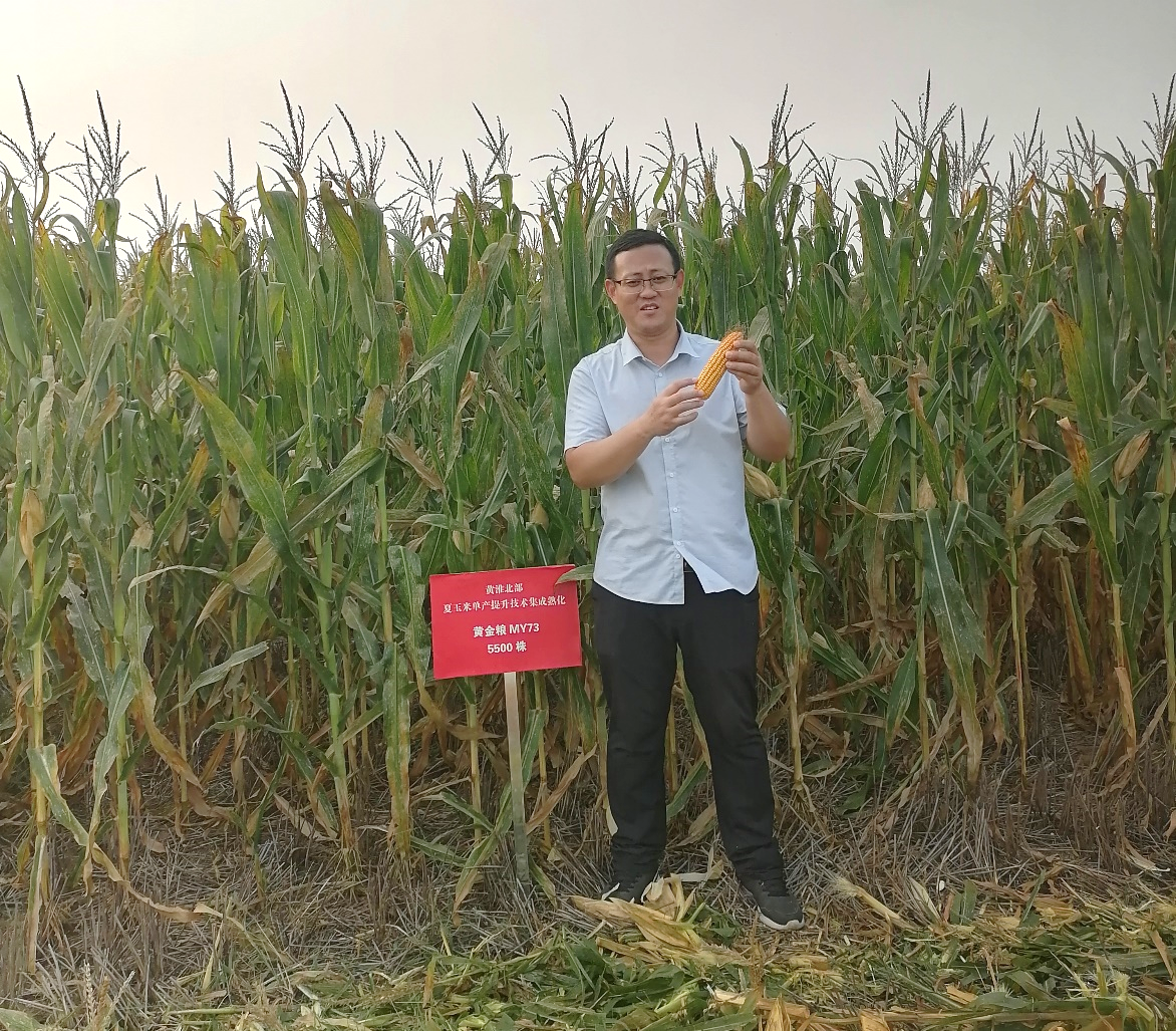 ���ߵ����˿��ֽ�