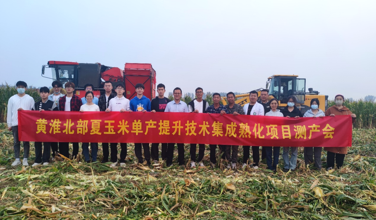 ���ߵ����˿��ֽ�