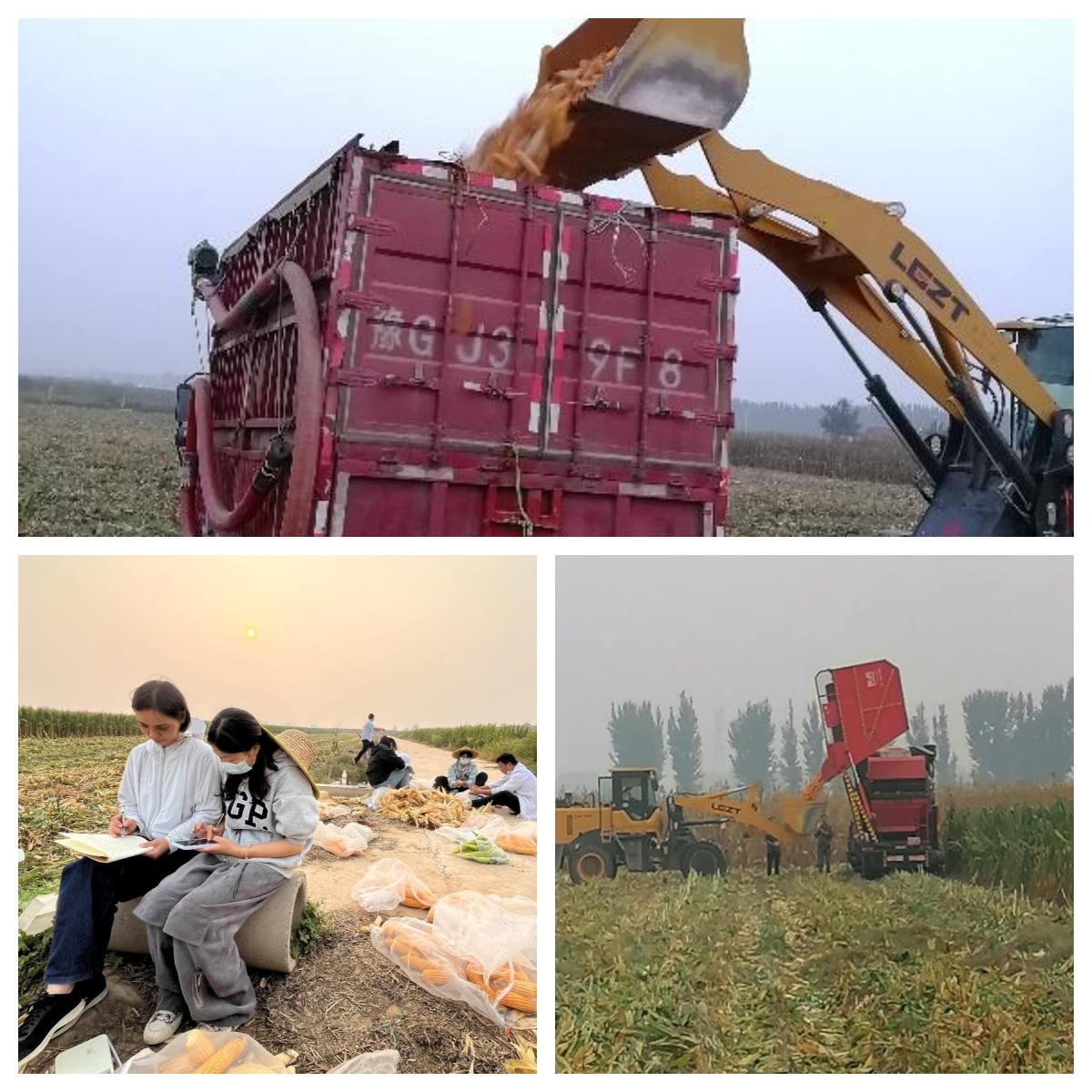 ���ߵ����˿��ֽ�