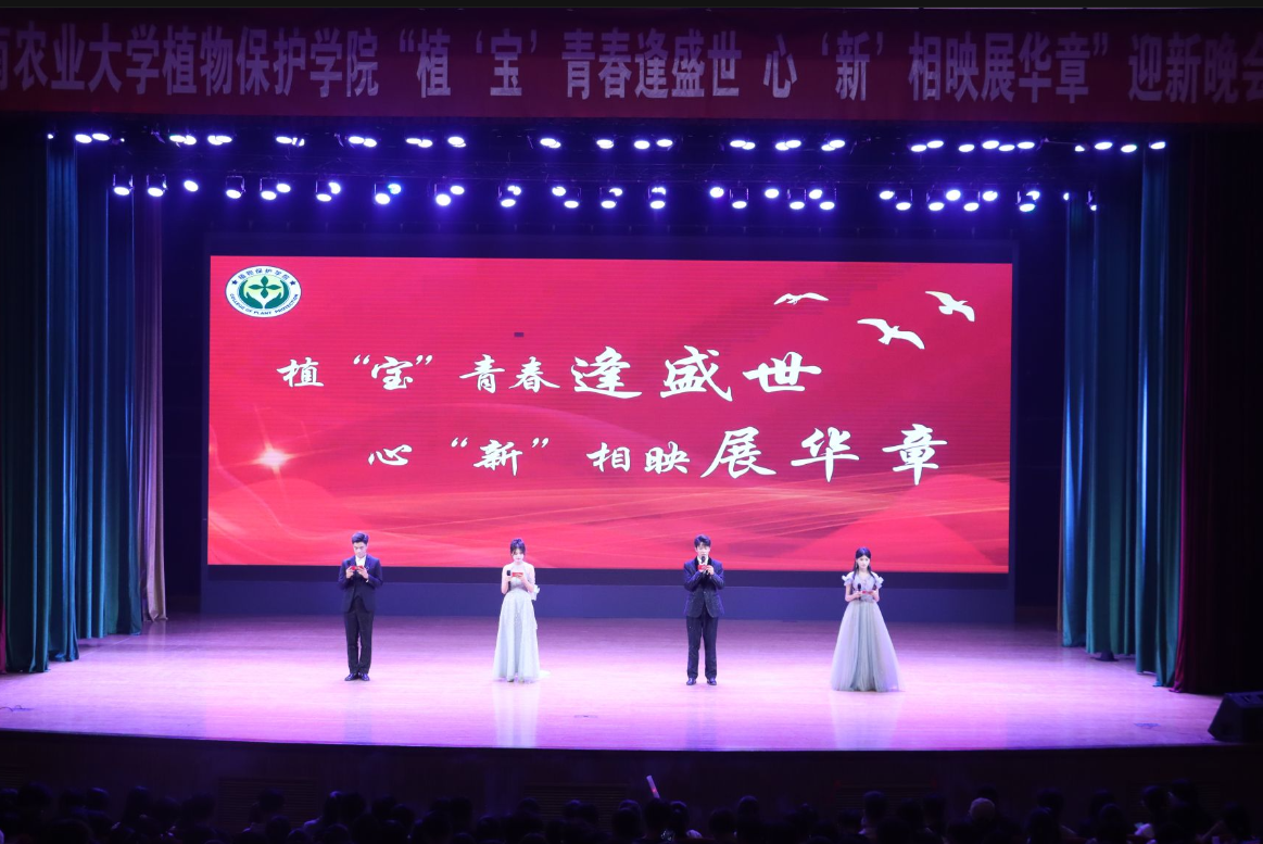 ���ߵ����˿��ֽ�