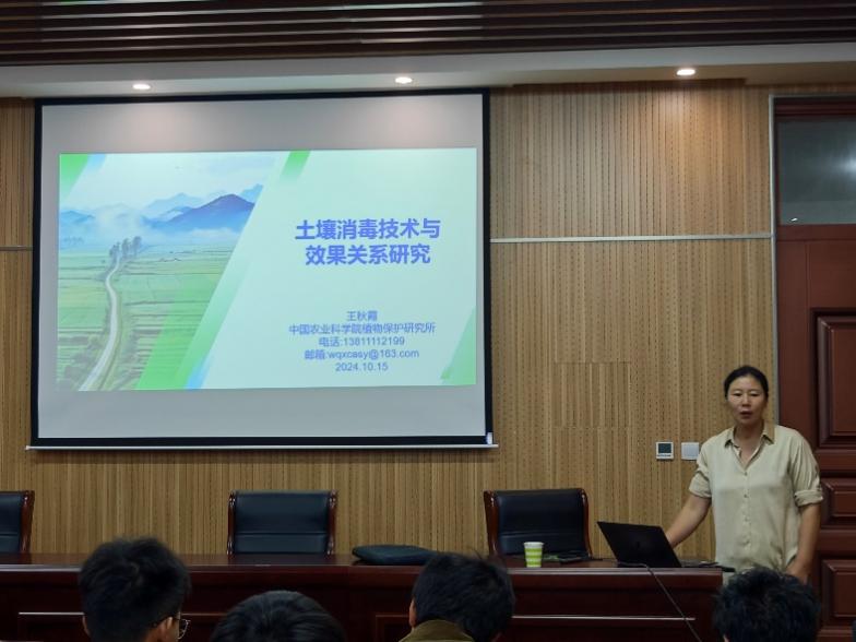 ���ߵ����˿��ֽ�