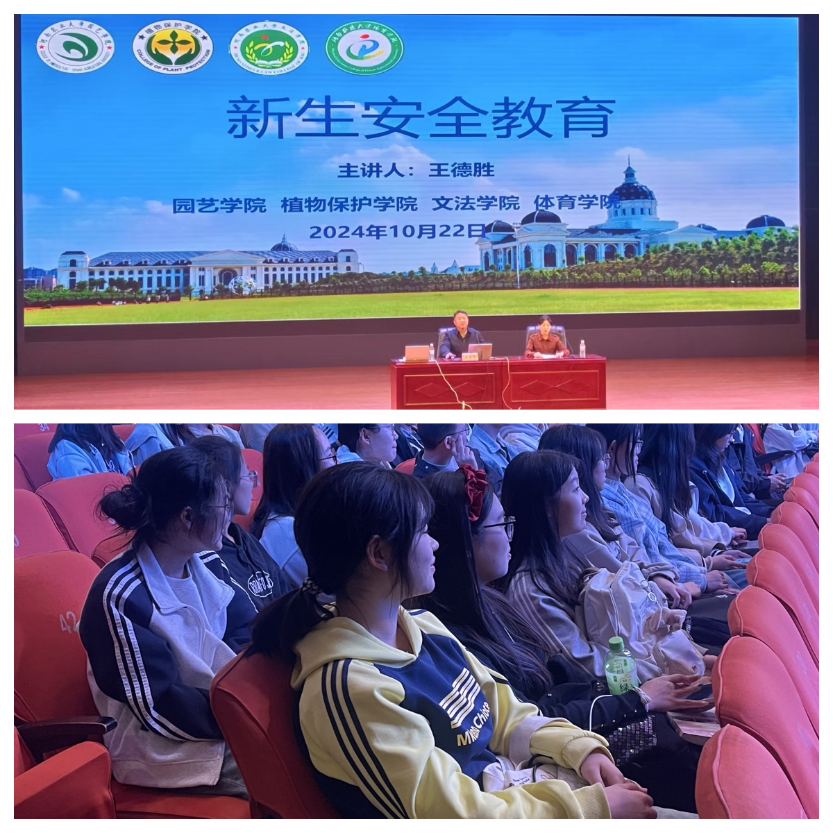 ���ߵ����˿��ֽ�