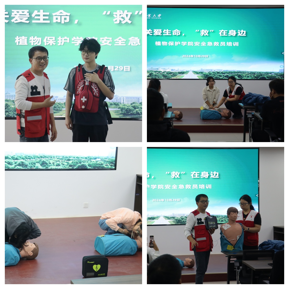 ���ߵ����˿��ֽ�