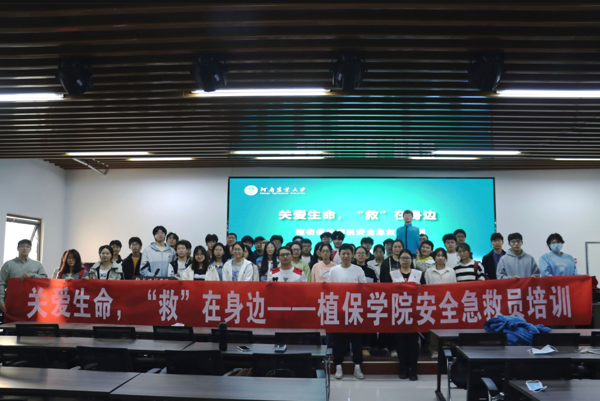 ���ߵ����˿��ֽ�