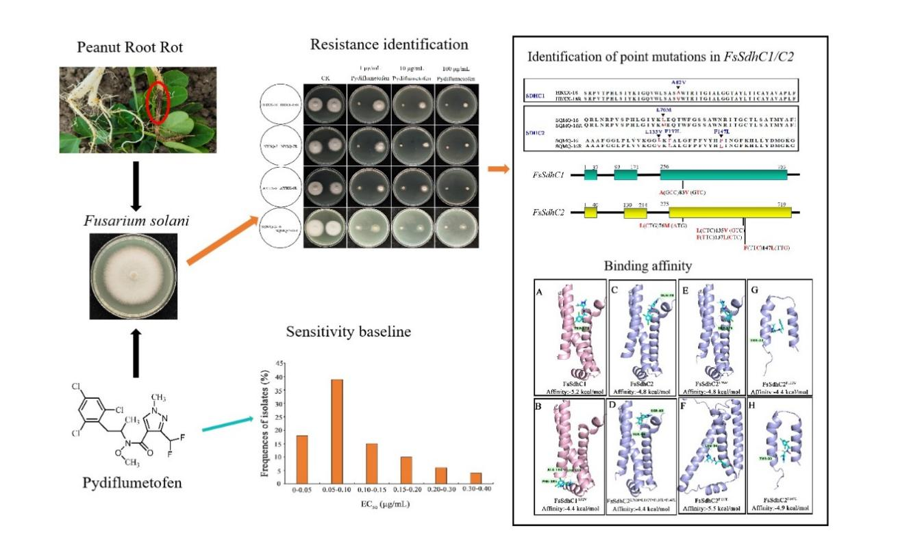 ���ߵ����˿��ֽ�