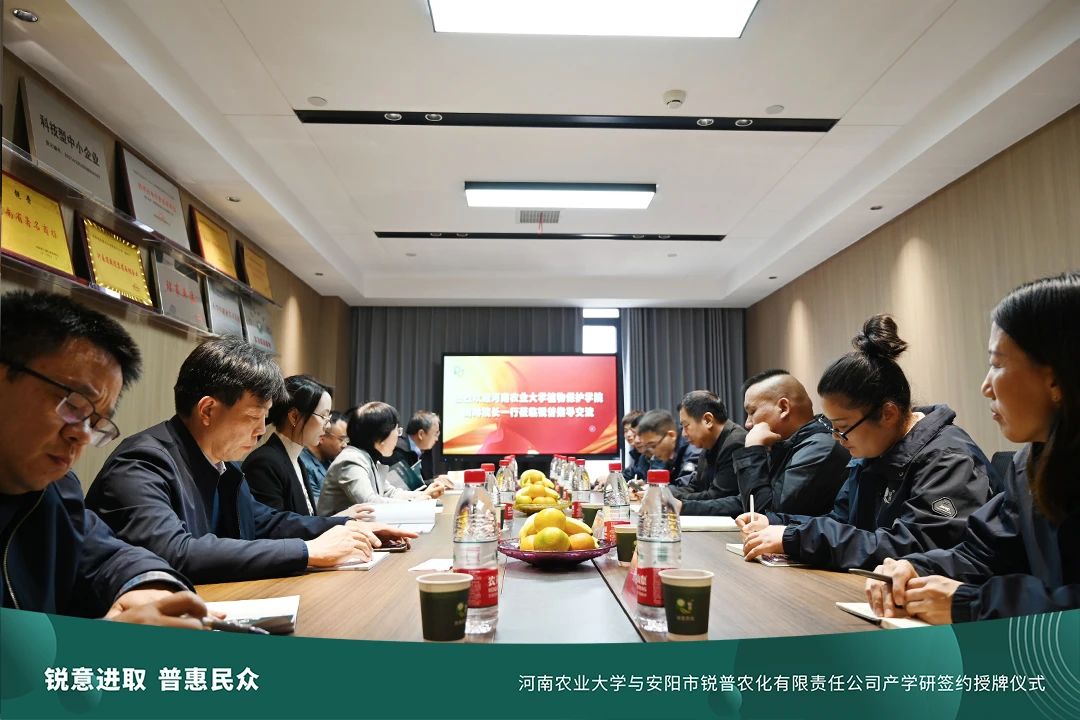 ���ߵ����˿��ֽ�