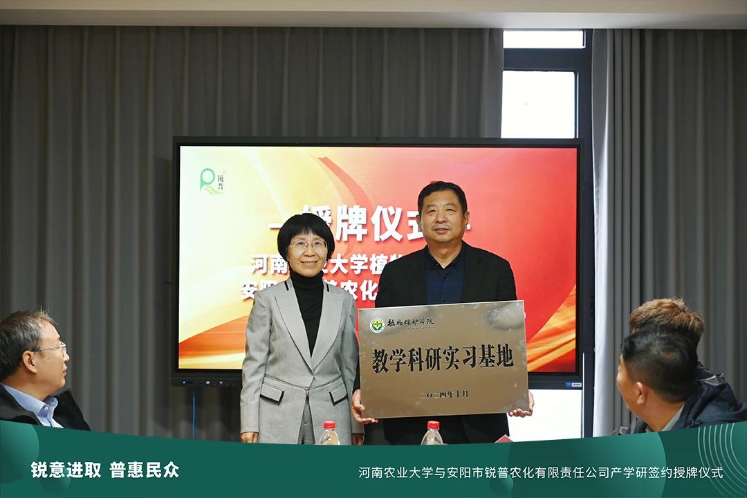 ���ߵ����˿��ֽ�