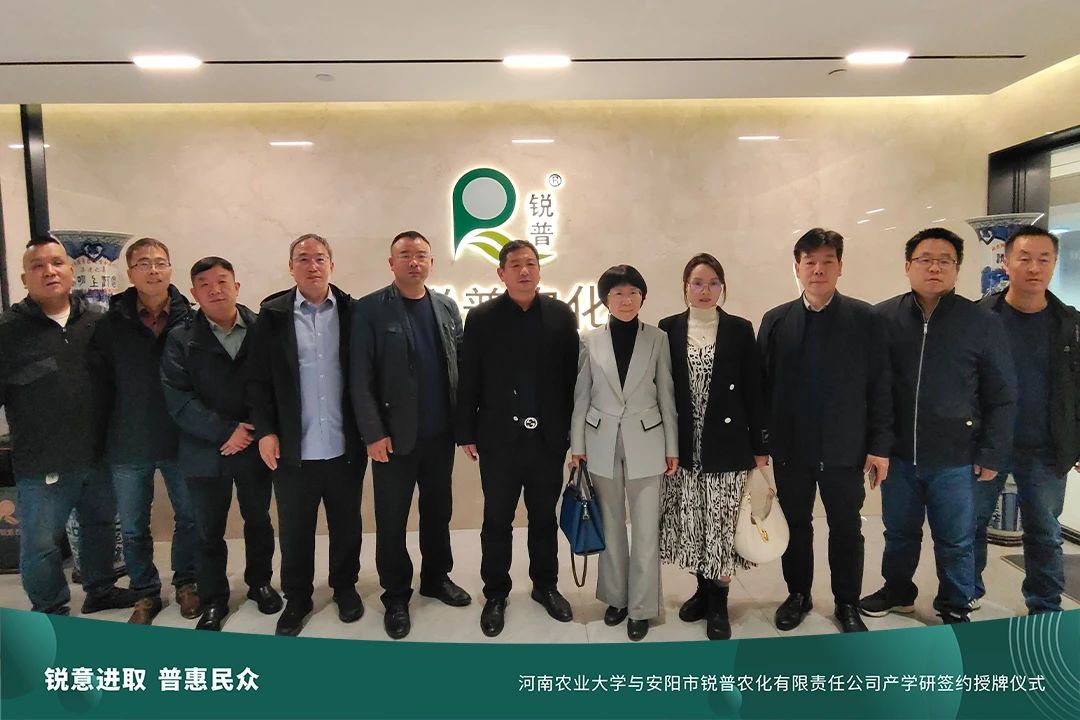 ���ߵ����˿��ֽ�