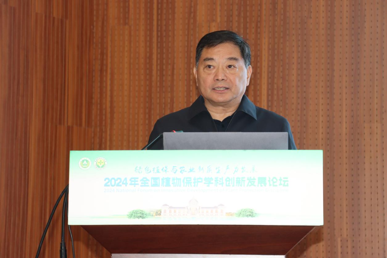 ���ߵ����˿��ֽ�