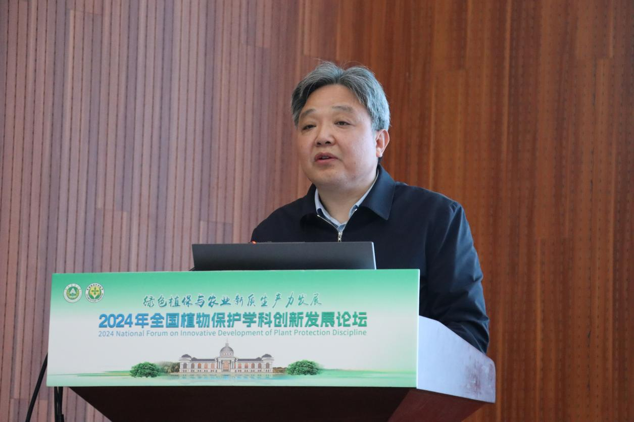 ���ߵ����˿��ֽ�