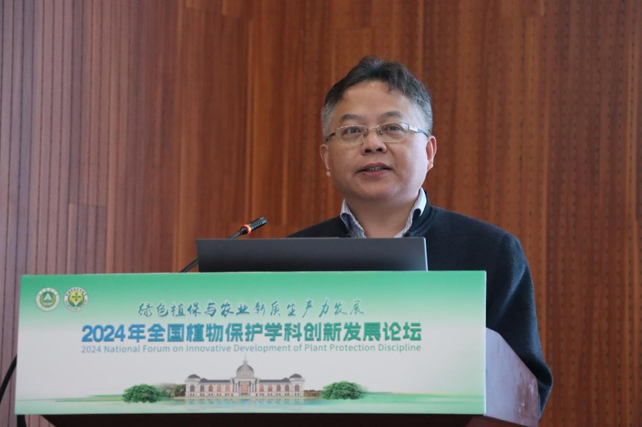 ���ߵ����˿��ֽ�