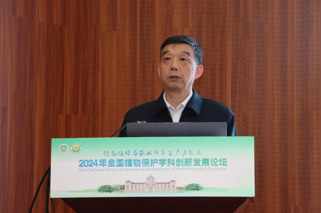 ���ߵ����˿��ֽ�