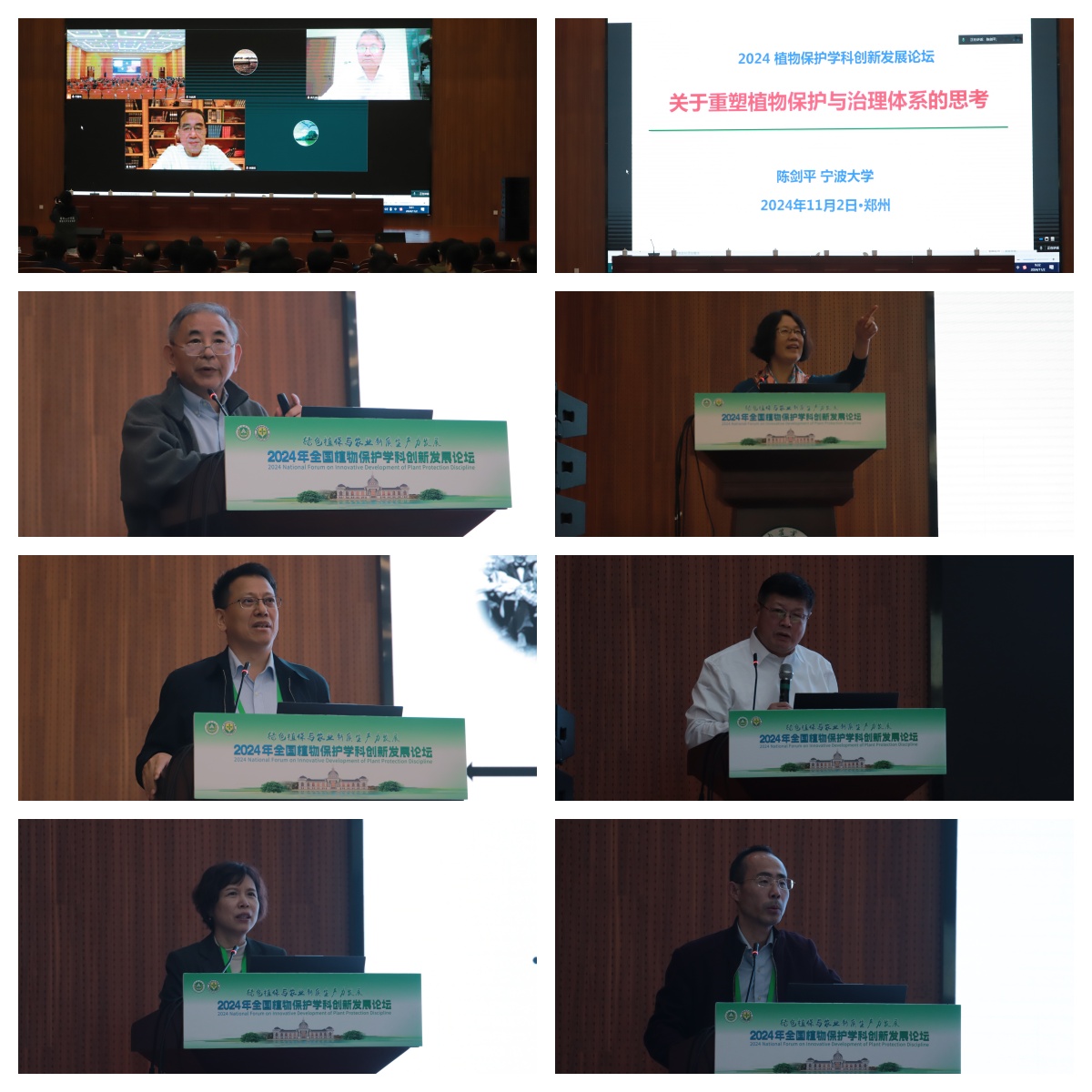 ���ߵ����˿��ֽ�