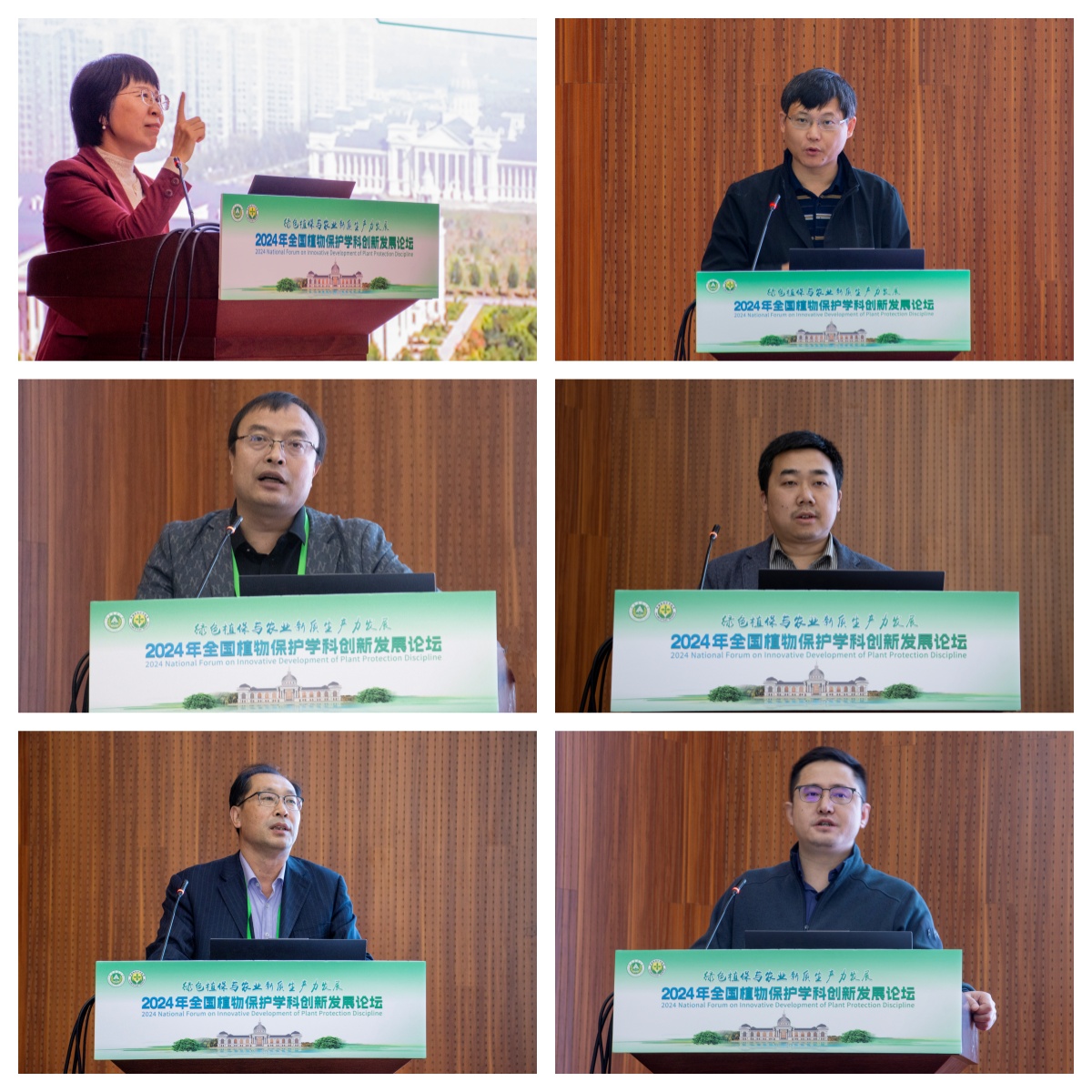 ���ߵ����˿��ֽ�