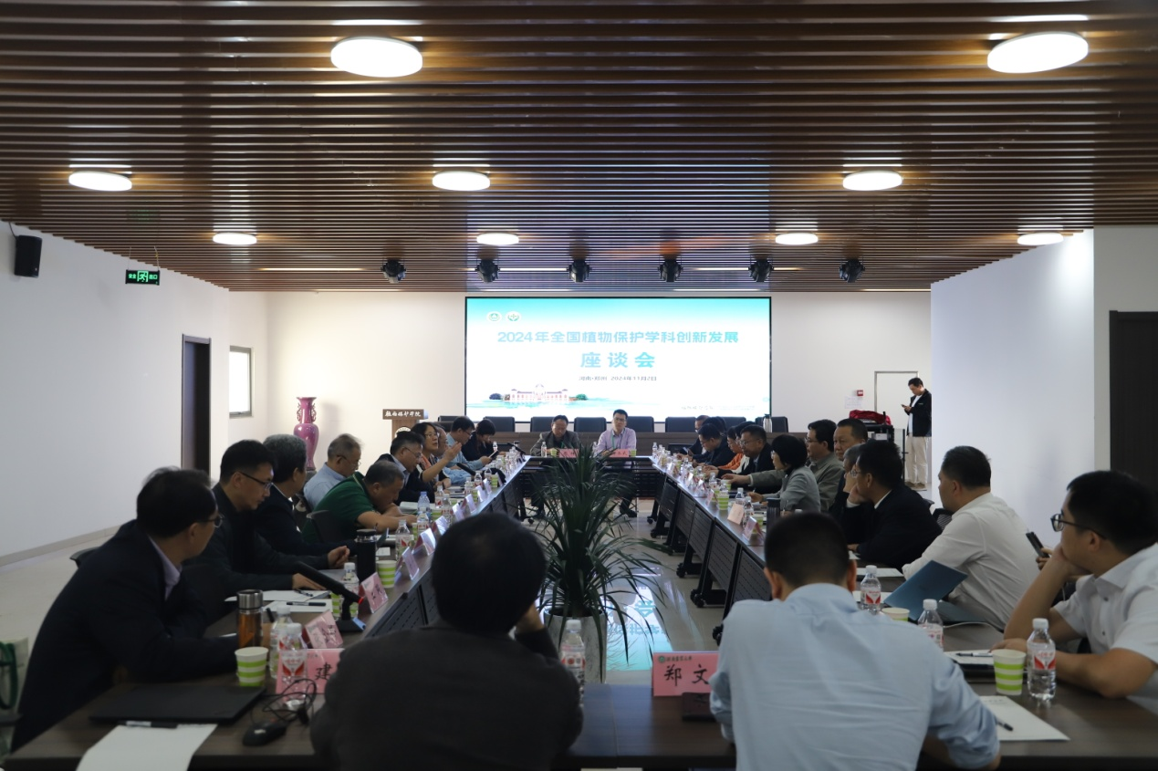 ���ߵ����˿��ֽ�