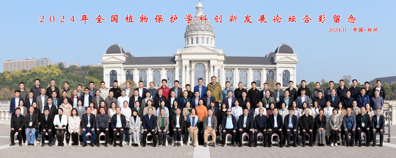 ���ߵ����˿��ֽ�