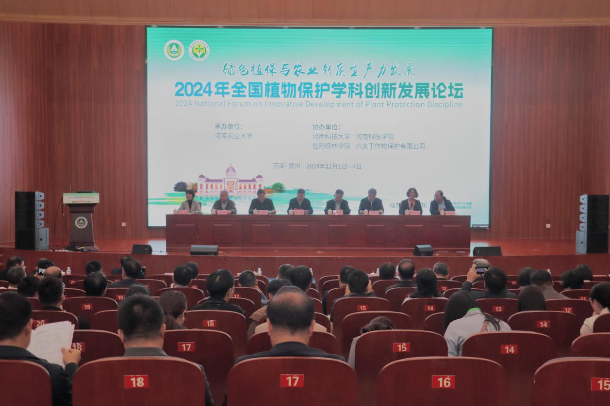 ���ߵ����˿��ֽ�