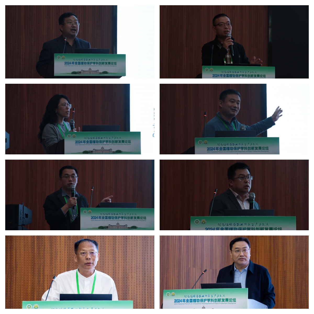 ���ߵ����˿��ֽ�