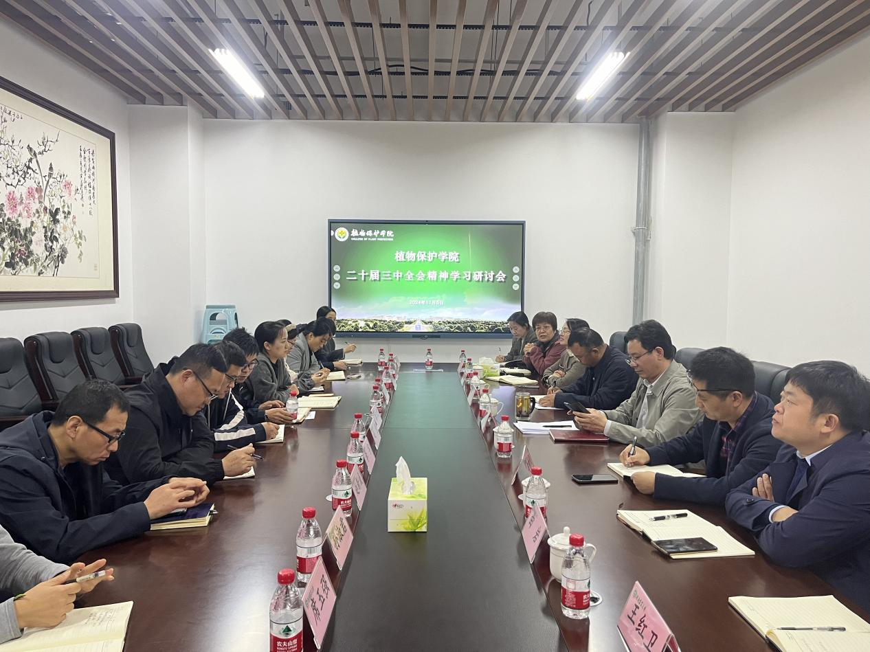 ���ߵ����˿��ֽ�