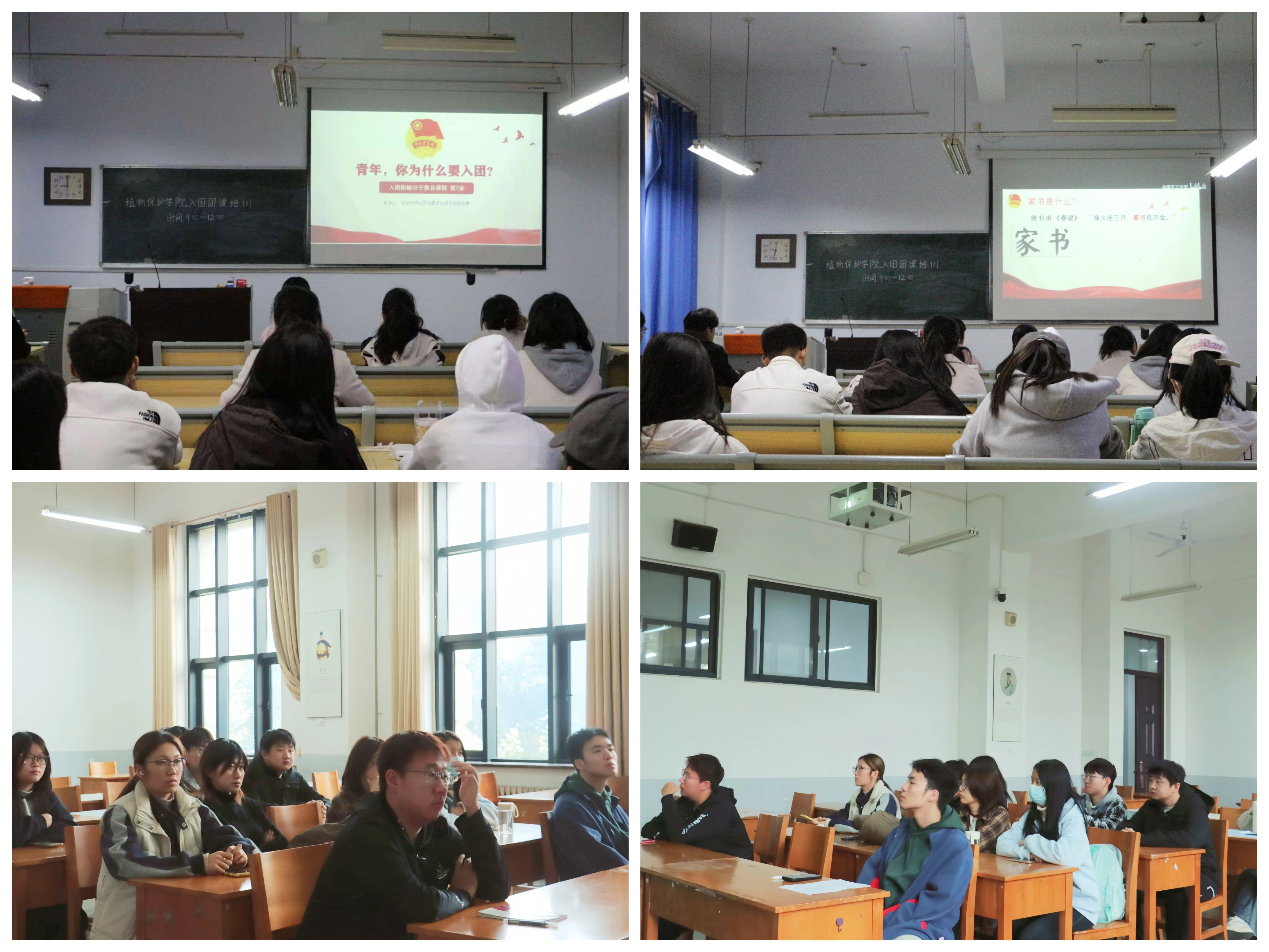 ���ߵ����˿��ֽ�