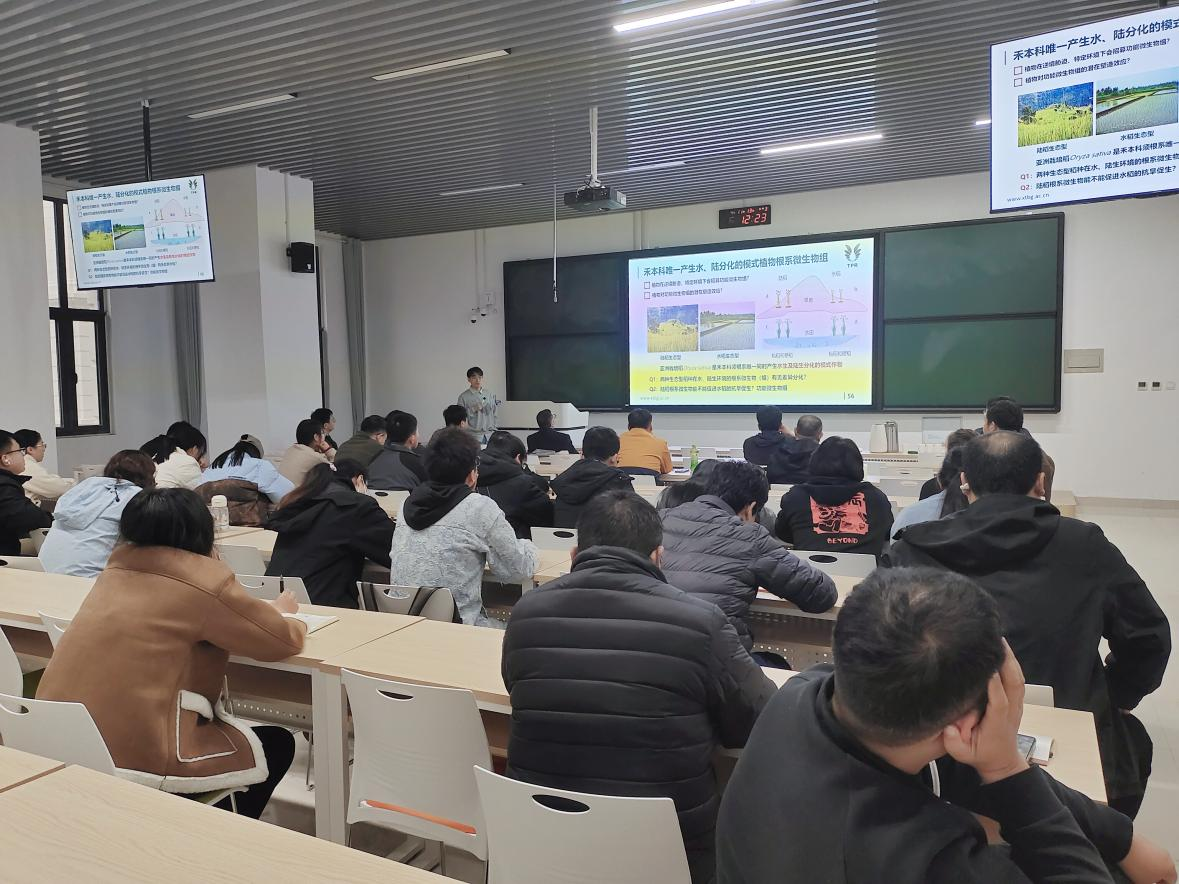 在线德州扑克现金