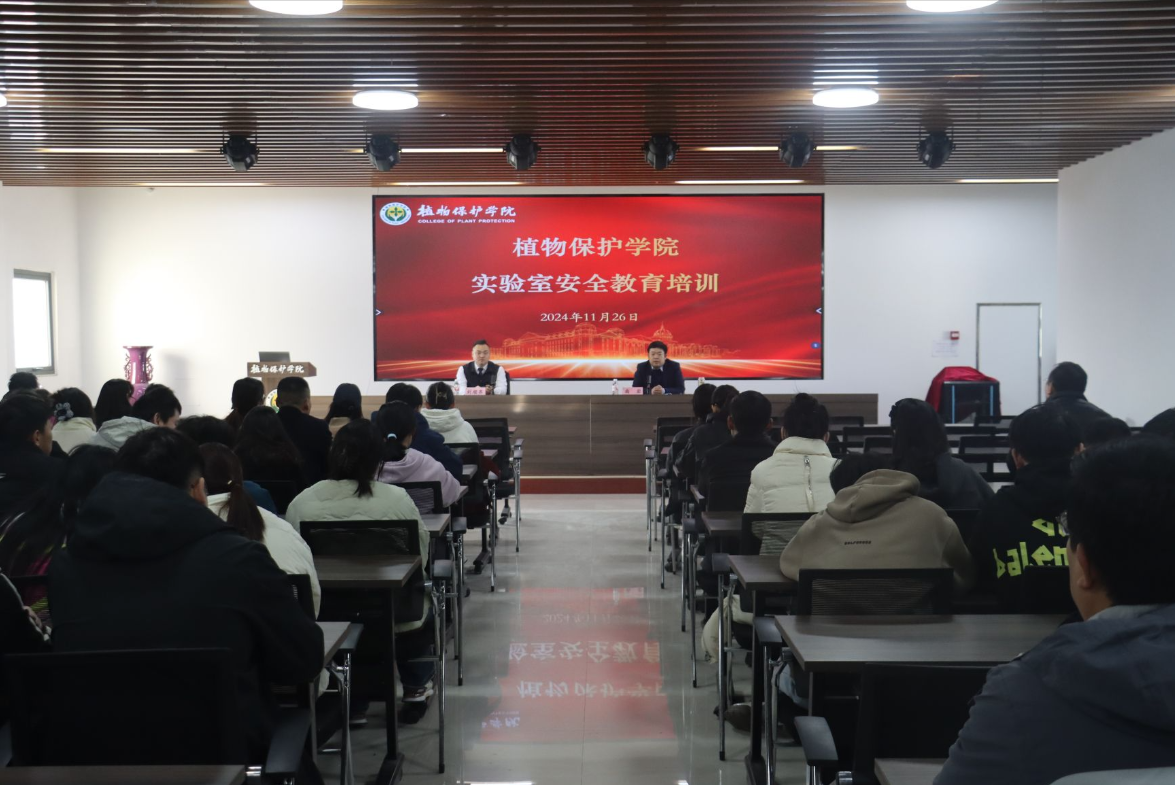 ���ߵ����˿��ֽ�