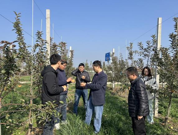 ���ߵ����˿��ֽ�