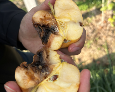 ���ߵ����˿��ֽ�