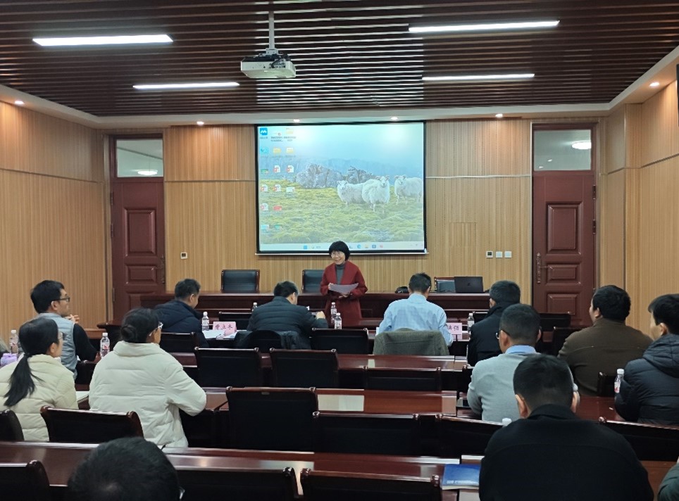 ���ߵ����˿��ֽ�