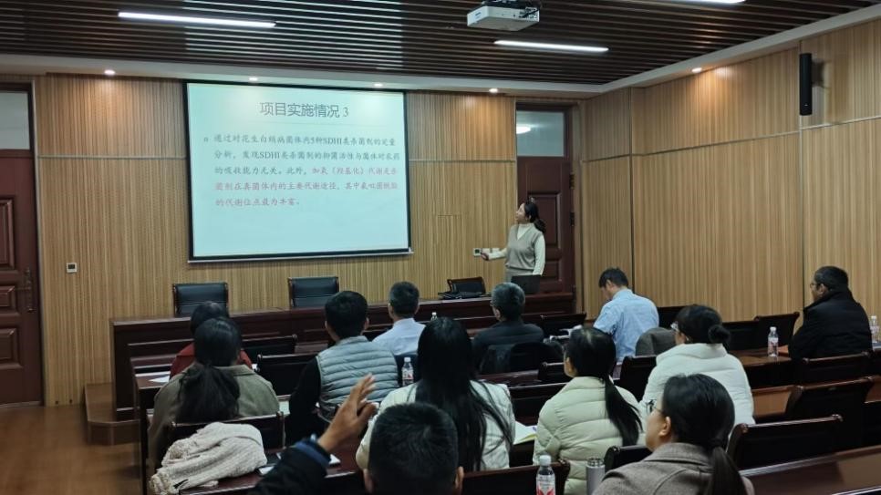 ���ߵ����˿��ֽ�