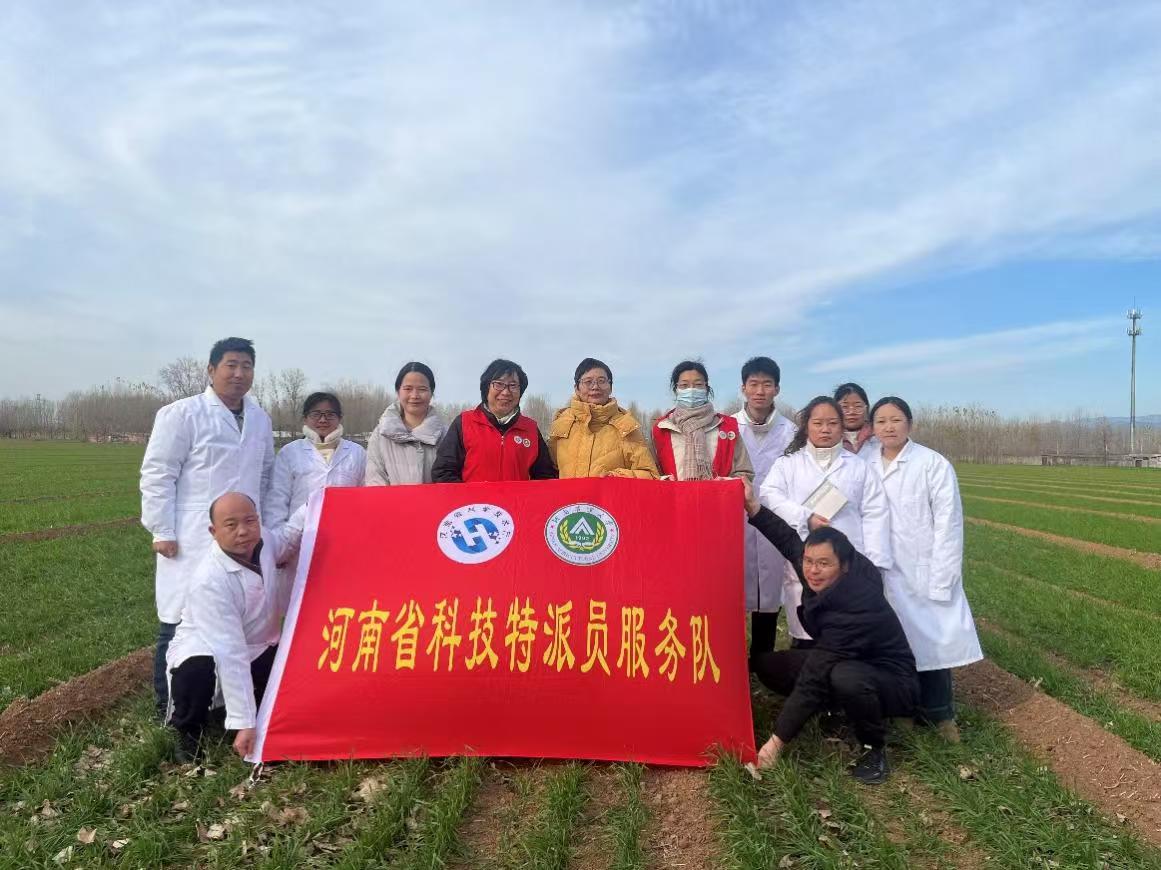 ���ߵ����˿��ֽ�