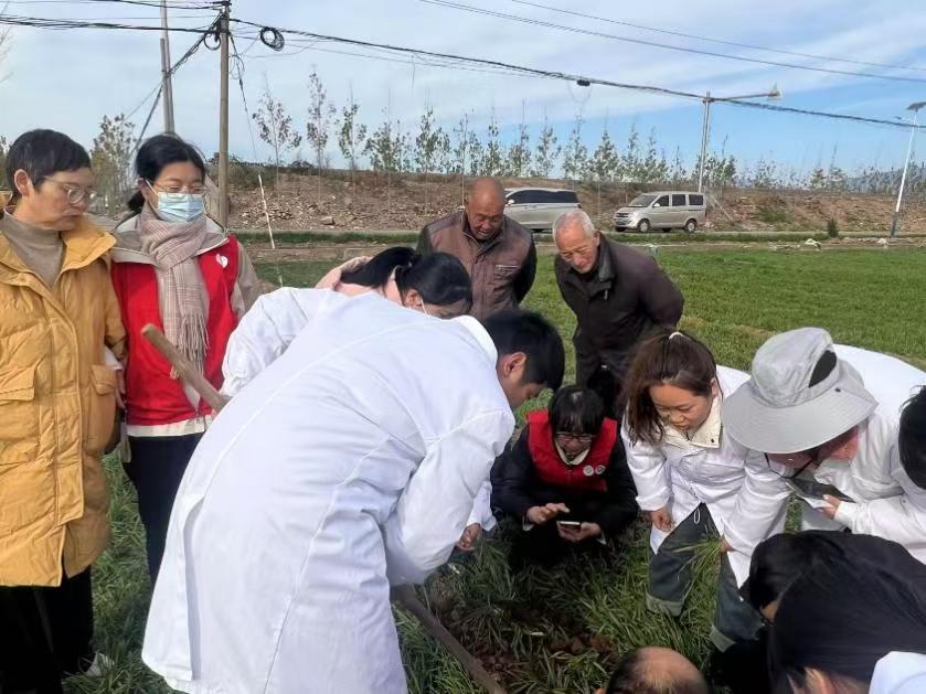 ���ߵ����˿��ֽ�