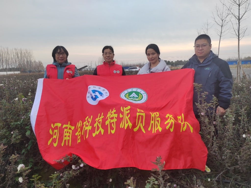 ���ߵ����˿��ֽ�