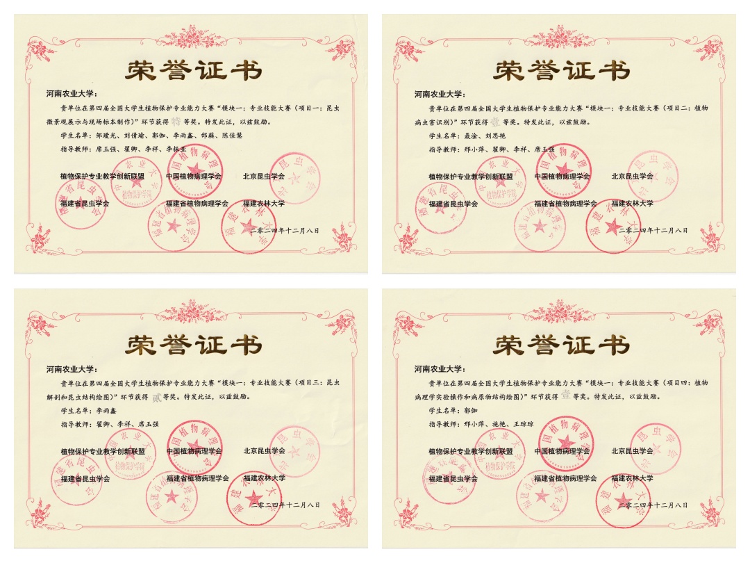 ���ߵ����˿��ֽ�