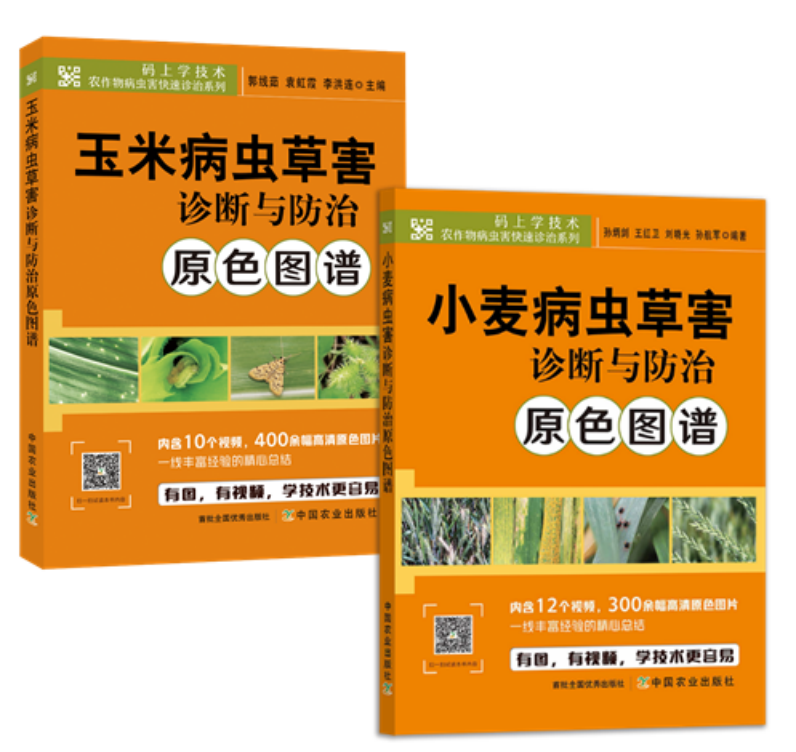 ���ߵ����˿��ֽ�