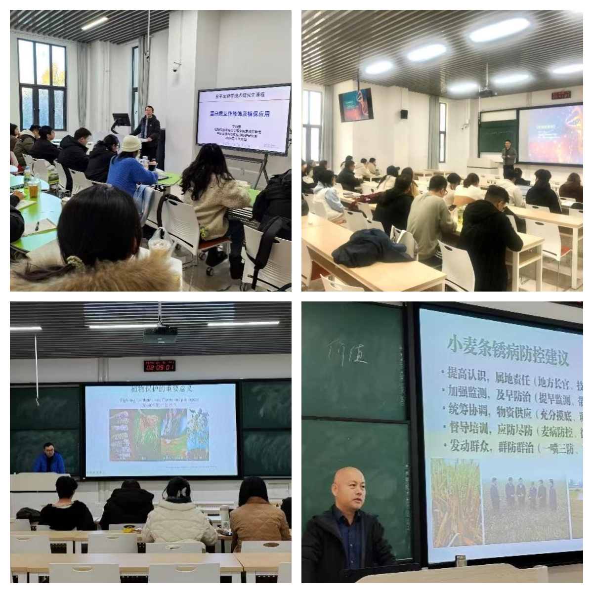 ���ߵ����˿��ֽ�