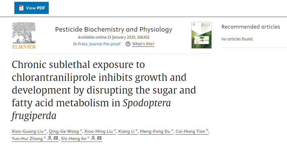 ���ߵ����˿��ֽ�