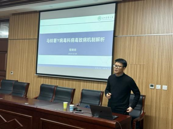 ���ߵ����˿��ֽ�