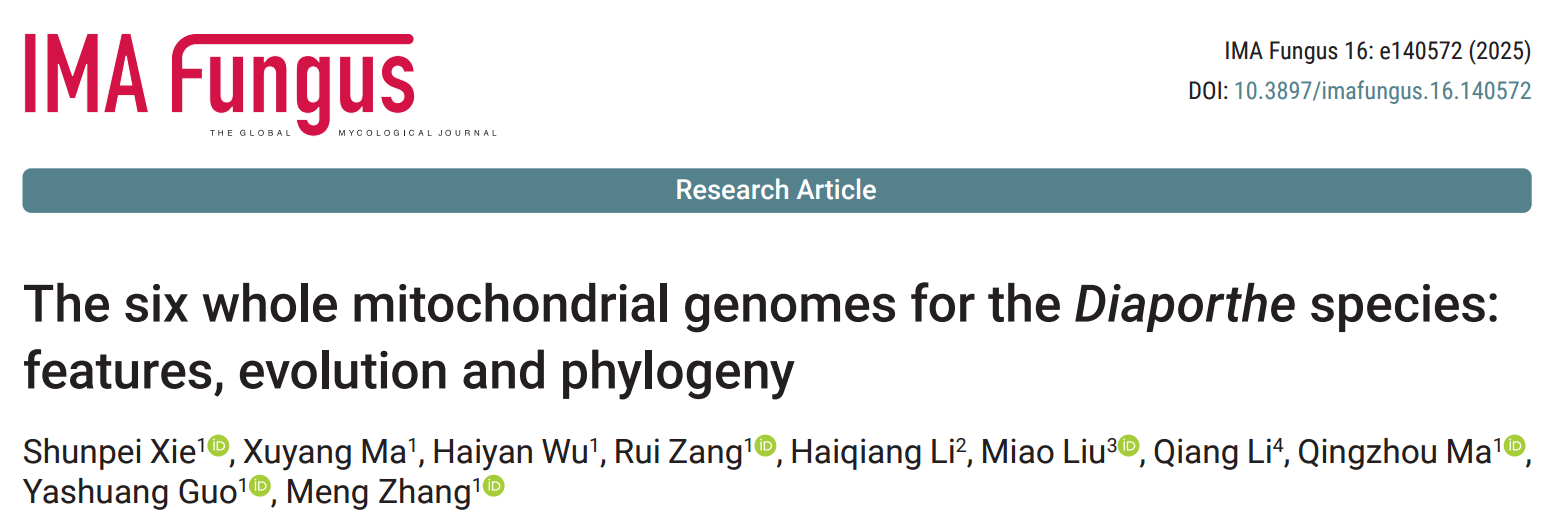 ���ߵ����˿��ֽ�