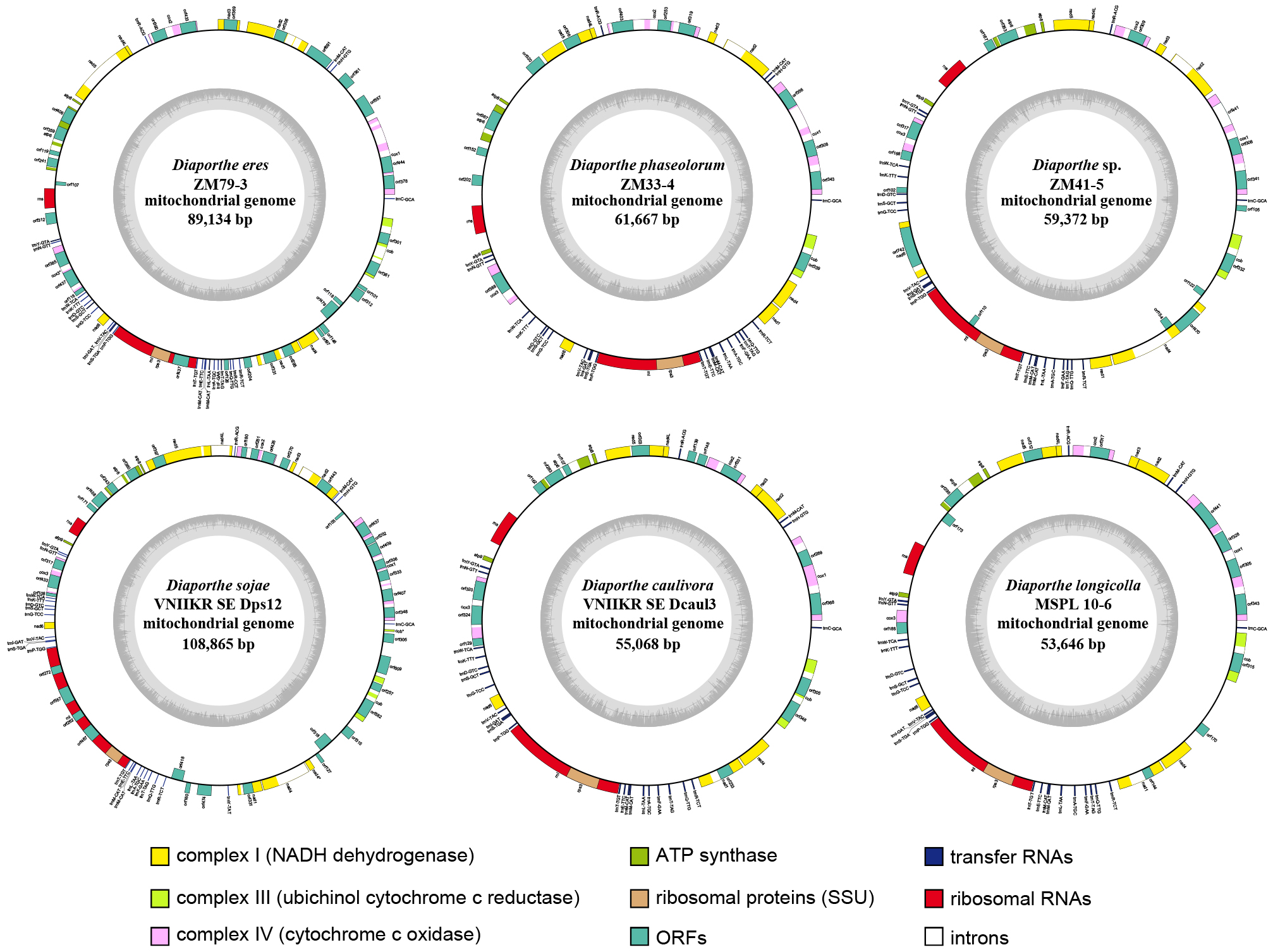 ���ߵ����˿��ֽ�