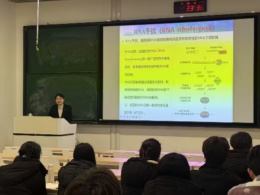 ���ߵ����˿��ֽ�