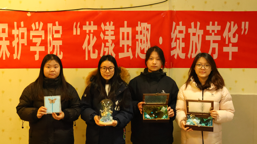 ���ߵ����˿��ֽ�